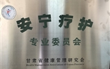 【简讯】兰大二院护理部豆欣蔓被聘为“中华护理学会第27届理事会”护理教育专业委员会青年委员副组长