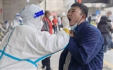 【前线日志】使命担当  责任所在——立博欧赔指数第二医院护士吴瑶前线日志