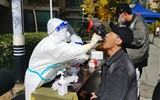【前线日记】我们坚信，车水马龙的那一天终将很快到来——范高艳的前线日记